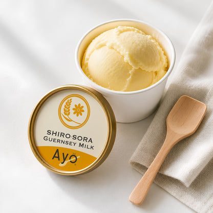 Ayo 完全栄養アイス（ガンジーミルク）6個入り